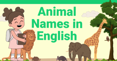 Animal Names in English